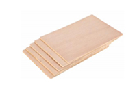 ���B(t��i)���������Щ��ʩ��